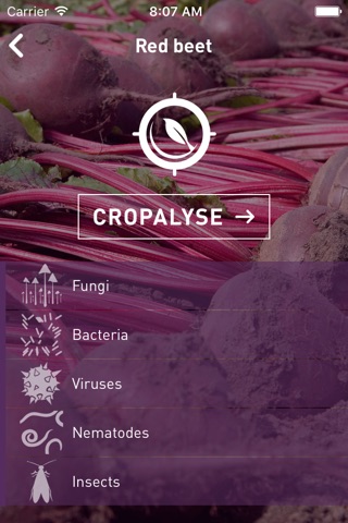 Cropalyser screenshot 3