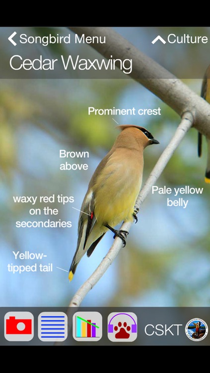 Animal Field Guide to the Flathead Reservation: Riparian Species