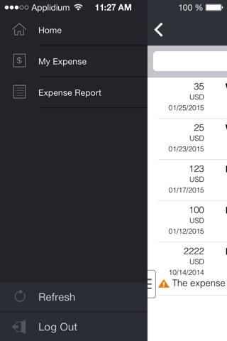 AvePoint HRIS - Expense screenshot 2