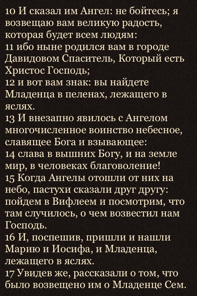 Православная Библия + Молитвослов screenshot 4