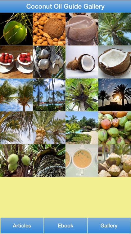 Coconut Oil Guide - All About Coconut Oil For Your Hair and Healthy!