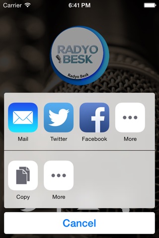 Radyo Besk screenshot 3