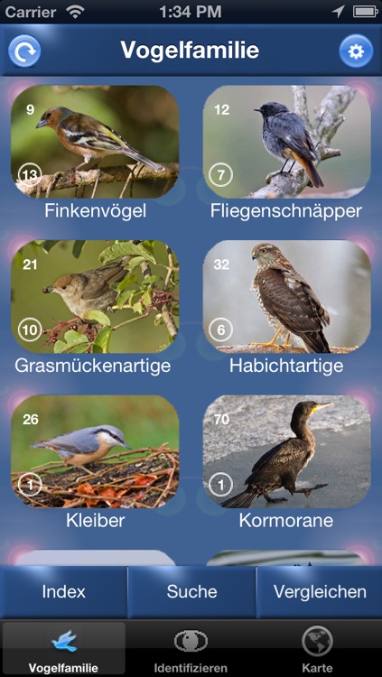 Vogel Id Österreich - Vögel Erkennen und Bestimmen in Natur und Garten