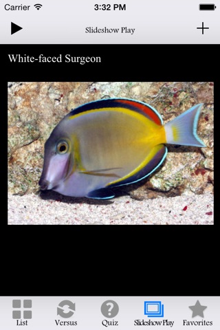 Fish Encyclopedia HD screenshot 2