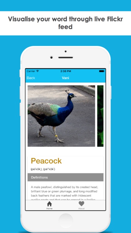 Vani-Modern English Dictionary