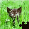 Puzzles Jig-Jigsaw For Pet Lovers And Children