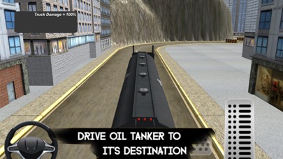 Oil Trucker Transport screenshot 3
