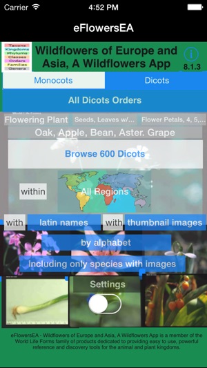 Wildflowers of Europe & Asia - A Wildflowers App(圖1)-速報App