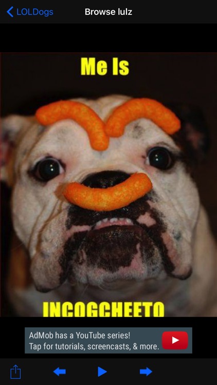 LOLDogs Free - Dog / Puppy LOL & Fail Pics