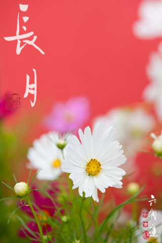 はなといろカレンダー - そよ風に揺れる美しい花たち - 2013 screenshot 4