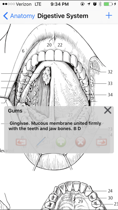 Anatomy Atlas screenshot1