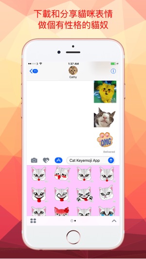 貓咪鍵表情包專業版(圖5)-速報App