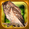 Knowledge Link Corporation - GPS動く野鳥図鑑400 アートワーク