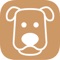 Dog Dreams provides you with 31 minutes of special music, tested by dog lovers, to help your cat and yourself relax together