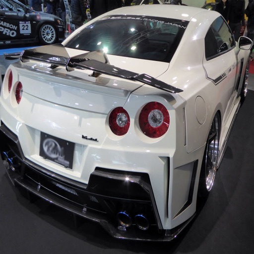 Freeway Furious Traffic Racer by Lois Lavinia