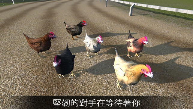 Hen Racing Simulator - Race Free Range Chickens(圖5)-速報App