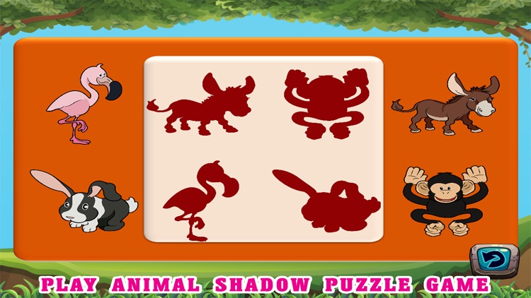 Animals Coloring Book HD - First Grade Word Games screenshot-4