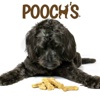 Pooch's Dog Treats