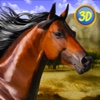 Arabian Horse Simulator Full