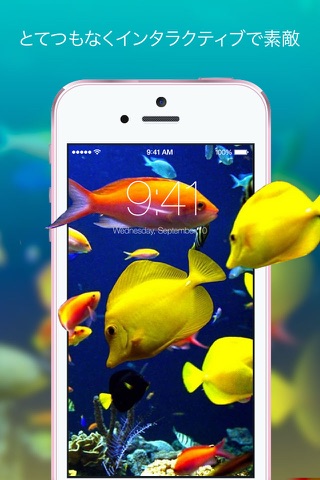 Live Wallpapers - Dynamic Animated Photo HD Themes screenshot 4