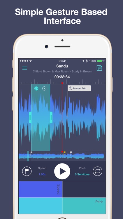 Transcribe+ Elegant Slow Downer and Time Strecher