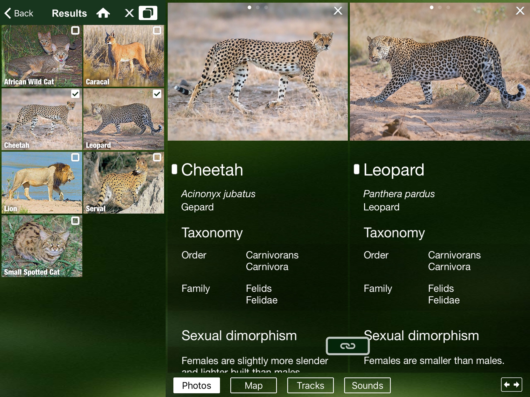 Mammal Guide of Southern Africa screenshot 4