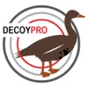 Specklebelly Goose Hunting Decoy Spreads -DecoyPro