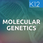 Genetics and Molecular Biology