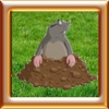 Animals World: Cartoon Moles Tap Premium