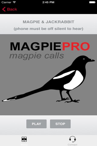 REAL Magpie Hunting Calls & Magpie Sounds! screenshot 2