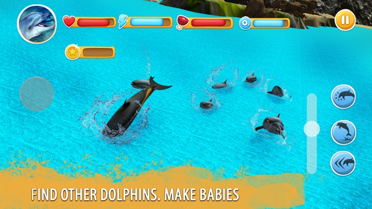 Dolphin Family Simulator