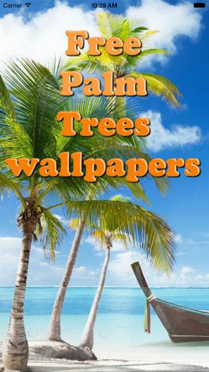 Beautiful Palm Tree Wallpapers (HD) - Backgrounds