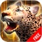 Leopard Survival Life Simulator : Animal of Prey