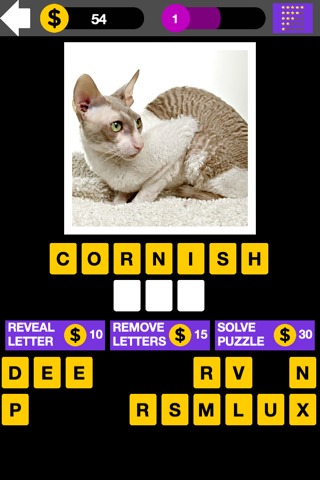 Domestic Cat Breed Quiz Maestro screenshot 3