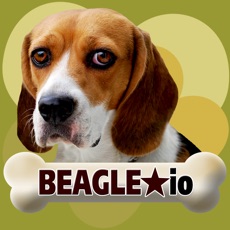 Activities of Beagle io (opoly)