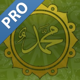Hadith Daily Pro - Islamic App for Muslim, Islam