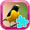 Puzzles Games And Color Bird Jigsaw Education
