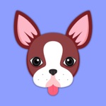 Animated Red Boston Terrier