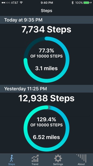 Steps, The Pedometer App