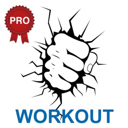 Martial Arts Workout Challenge PRO - Build Muscles