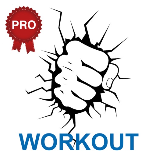 Martial Arts Workout Challenge PRO - Build Muscles icon