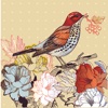 Bird and Flower HD- Quotes and Art
