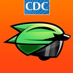 CDC HEADS UP Rocket Blades