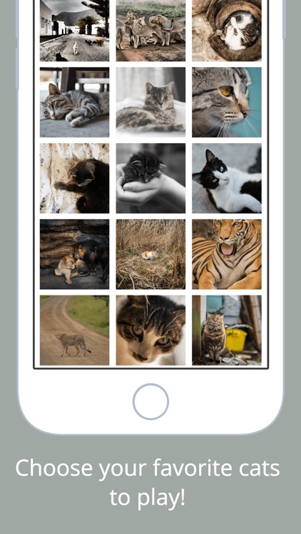 Cats Puzzle - Play with your favorite cats photos