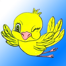 Activities of Memo Blast