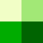 Colorax