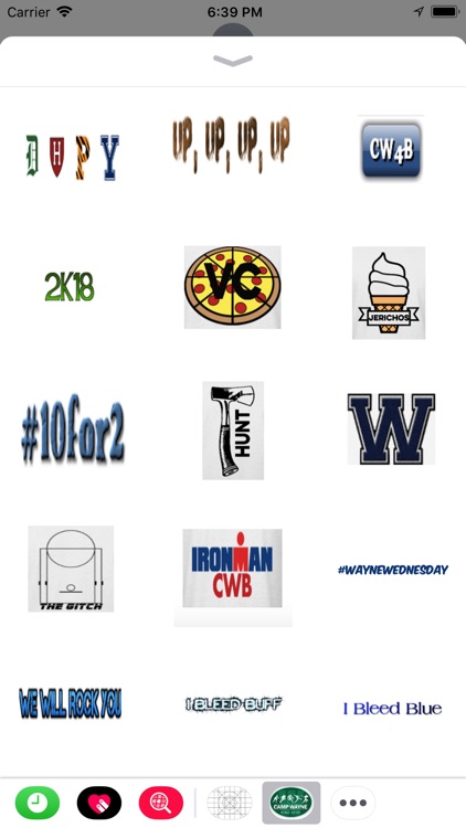 Camp Wayne Boys Sticker pack