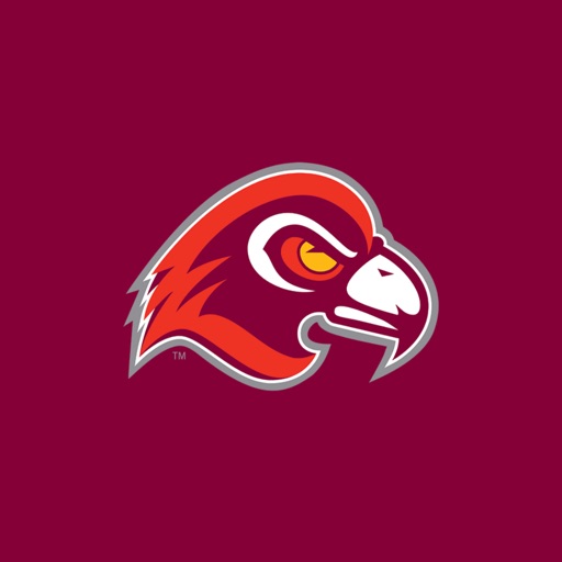 Fairmont State University Fighting Falcons icon