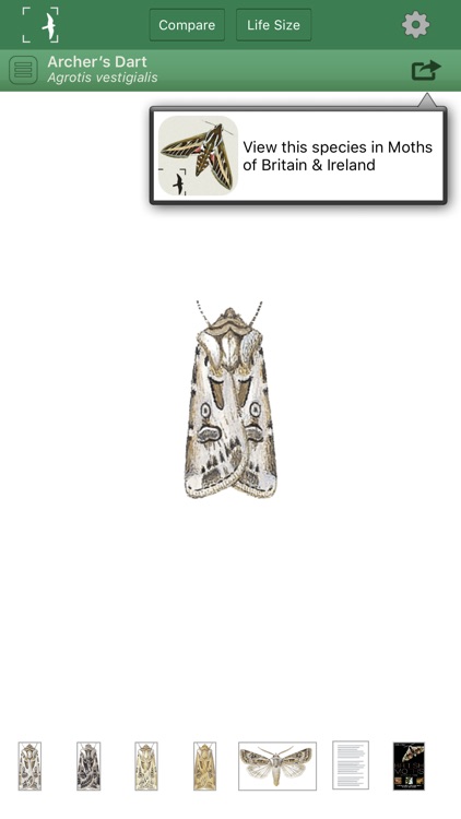 The Moths of Britain & Ireland screenshot-3