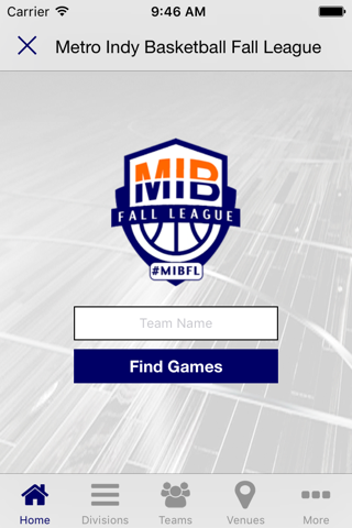 Metro Indy Basketball screenshot 3